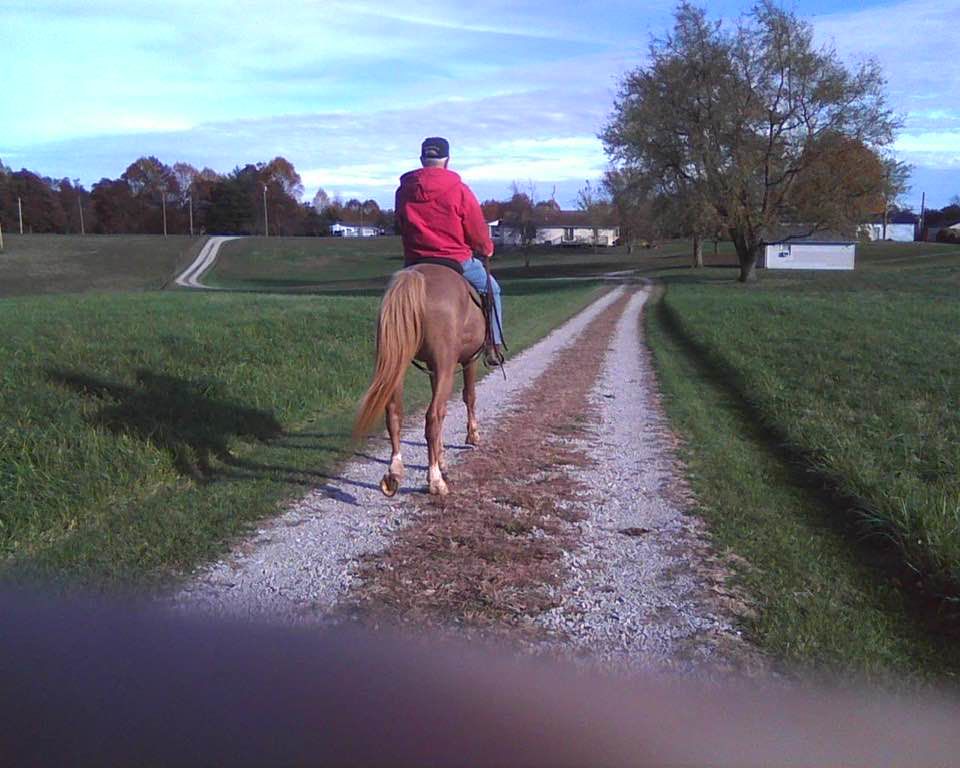 Etown Horse 1